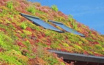 Kellingley living roof systems